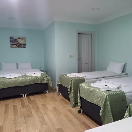 מלון דירות Avsin 2*