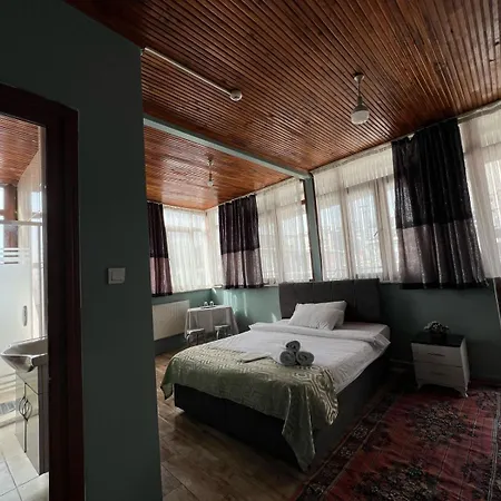 Avsin アパートホテル イスタンブール