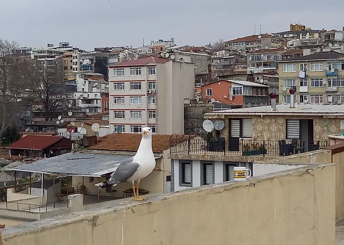 Avsin 2* איסטמבול