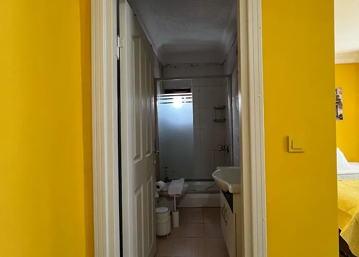 Avsin איסטמבול