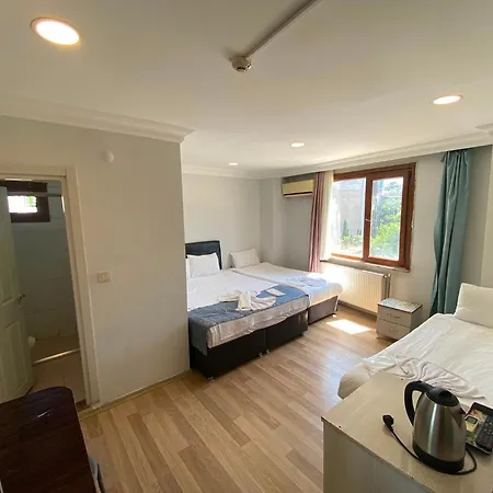 Avsin Apartahotel 3*